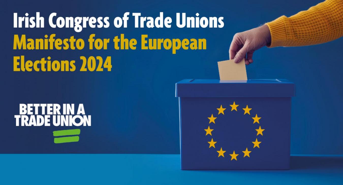 European Elections 2024 Web Image 3